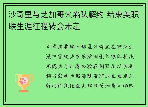沙奇里与芝加哥火焰队解约 结束美职联生涯征程转会未定 沙奇里与芝加哥火焰队解约 结束美职联生涯征程转会未定